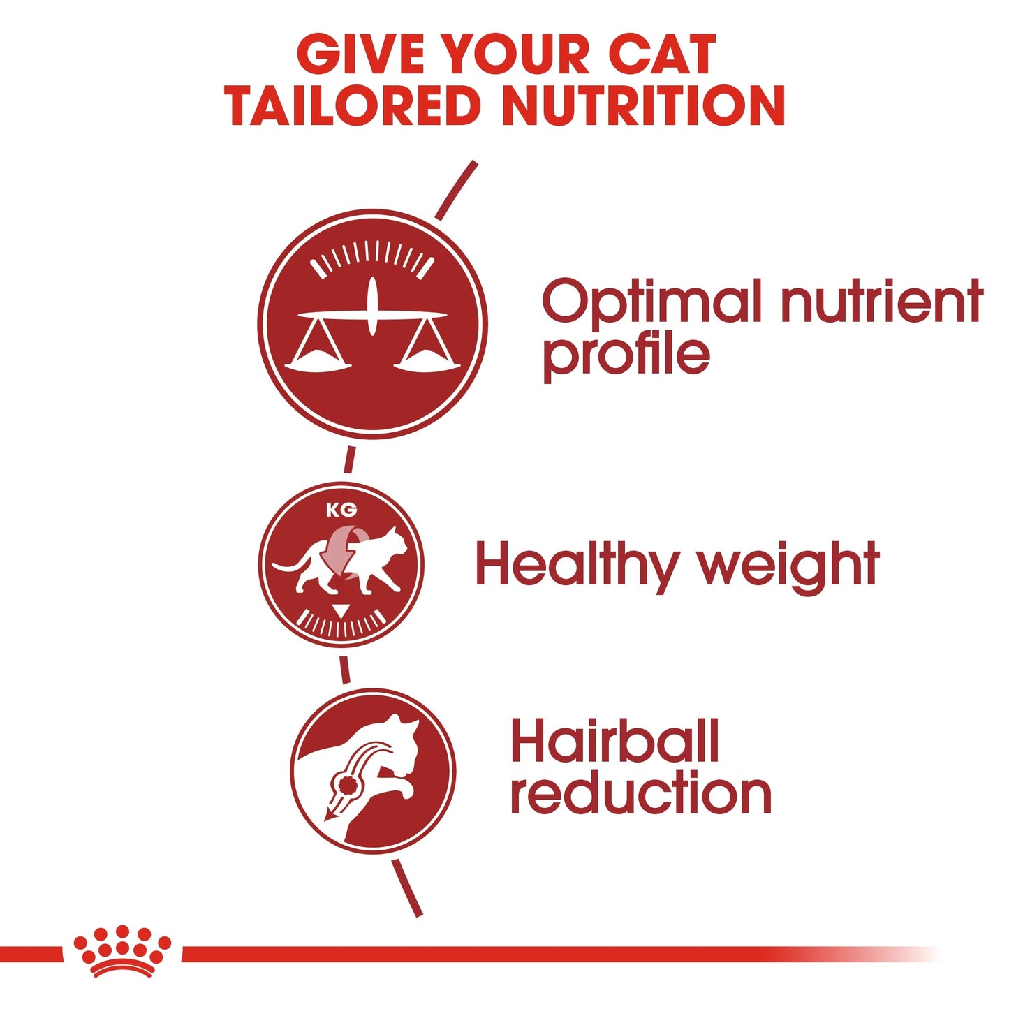 Royal Canin Feline Health Nutrition Fit 32 Cat Dry Food