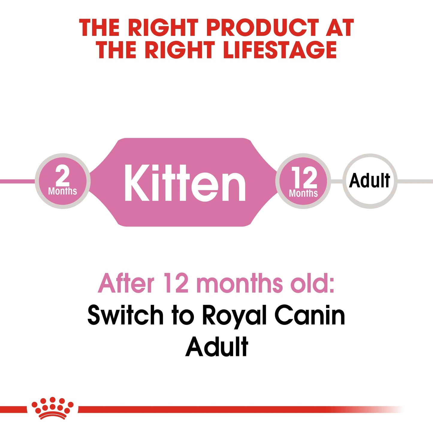 Royal Canin Feline Health Nutrition Kitten Dry Food
