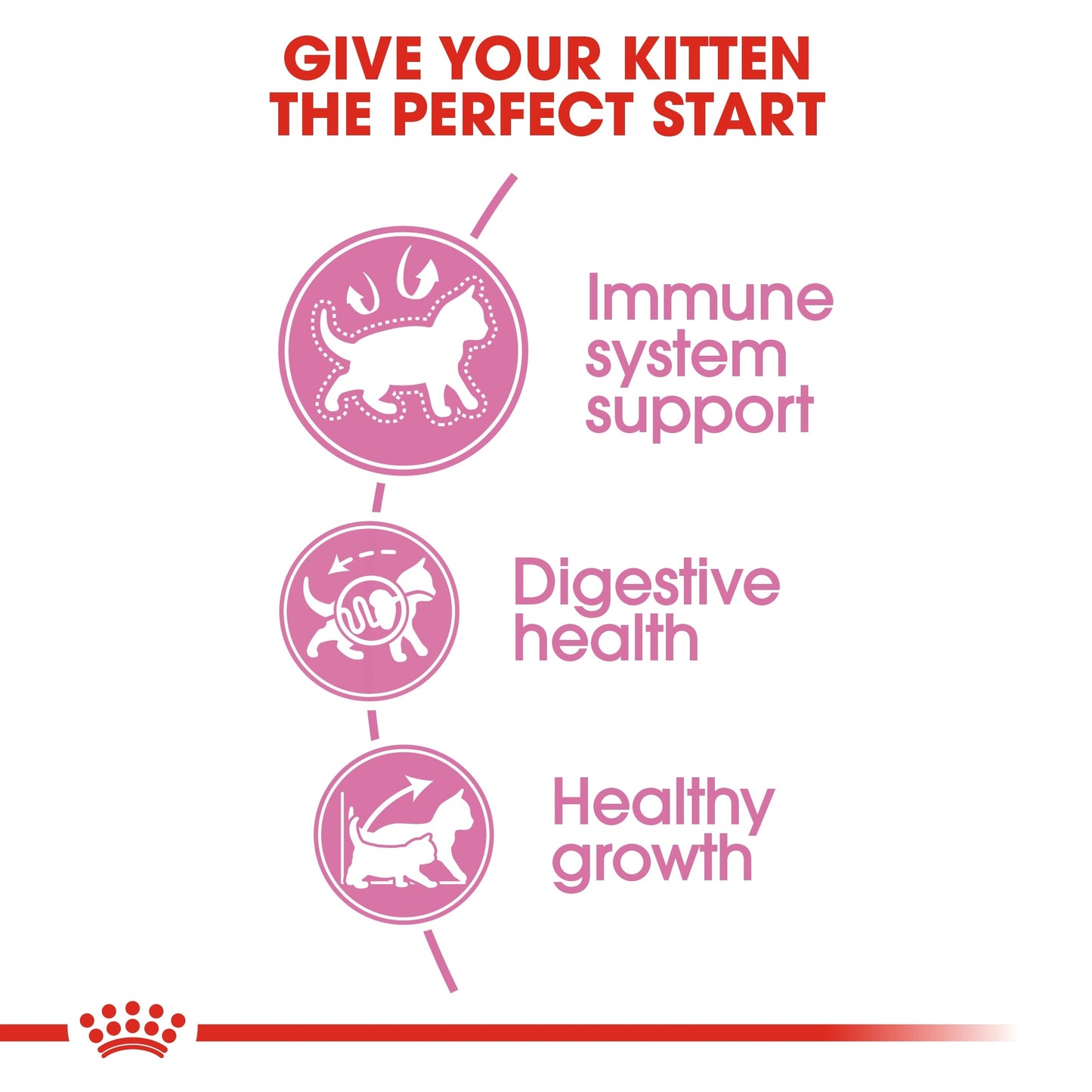 Royal Canin Feline Health Nutrition Kitten Dry Food