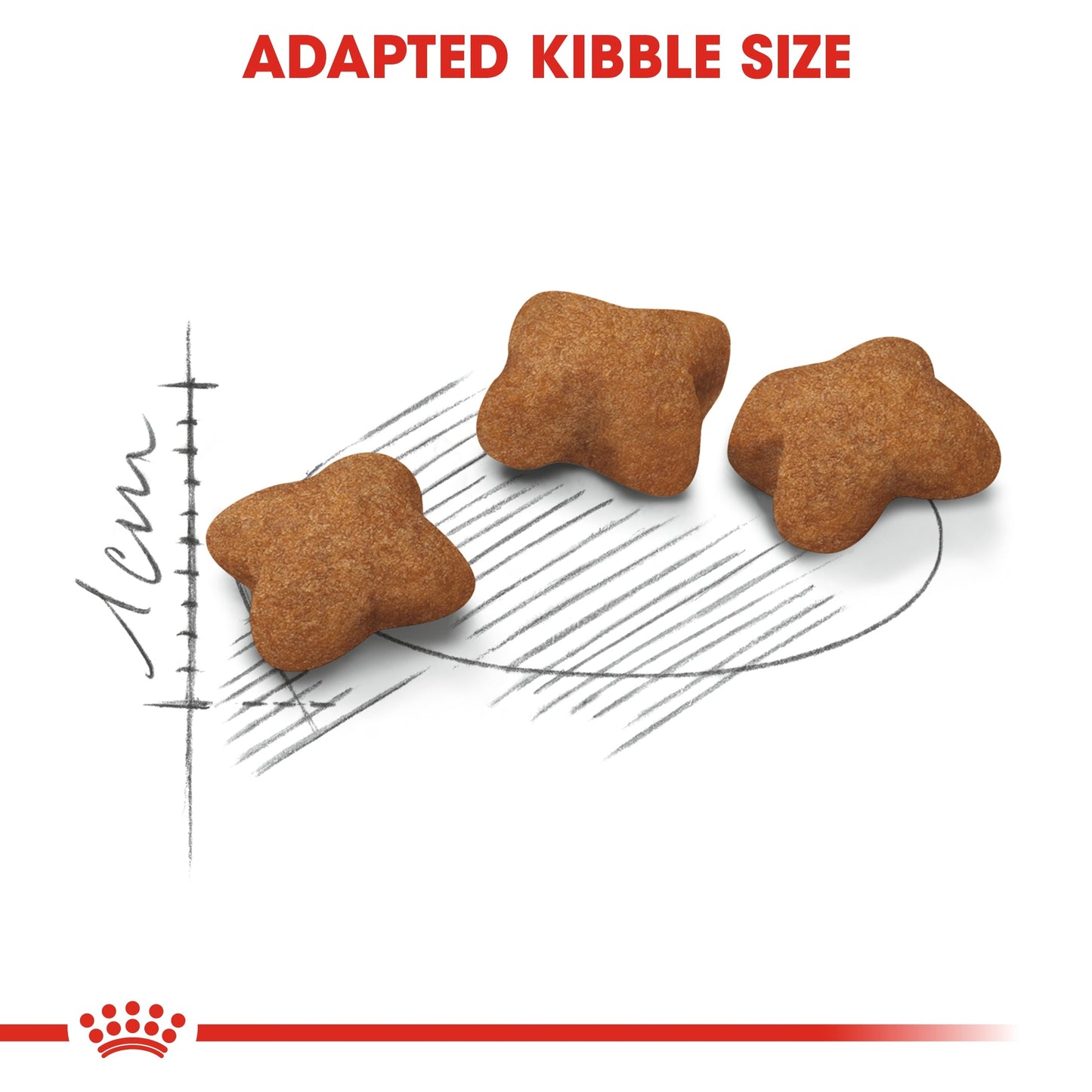 Royal Canin  Feline Health Nutrition Kitten Sterilised Dry Food 2 KG