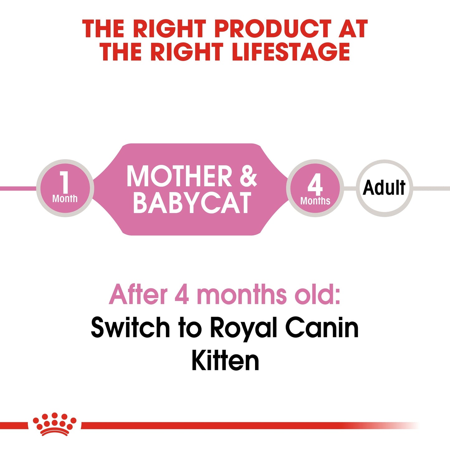 Royal Canin Feline Health Nutrition Mother & Babycat Mousse (Cat Wet Food - Cans)