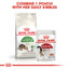 Royal Canin Feline Health Nutrition Outdoor Cat Dry Food 2 KG