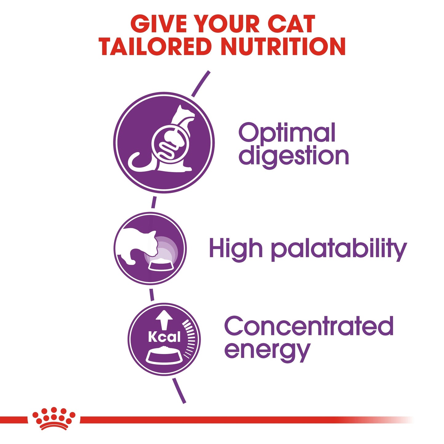 Royal Canin Feline Health Nutrition Sensible Cat Dry Food