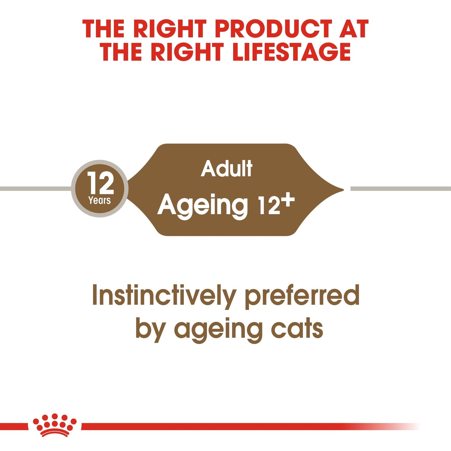 Royal Canin  Feline Health Nutrition Ageing  Jelly (Cat Wet Food - Pouches)