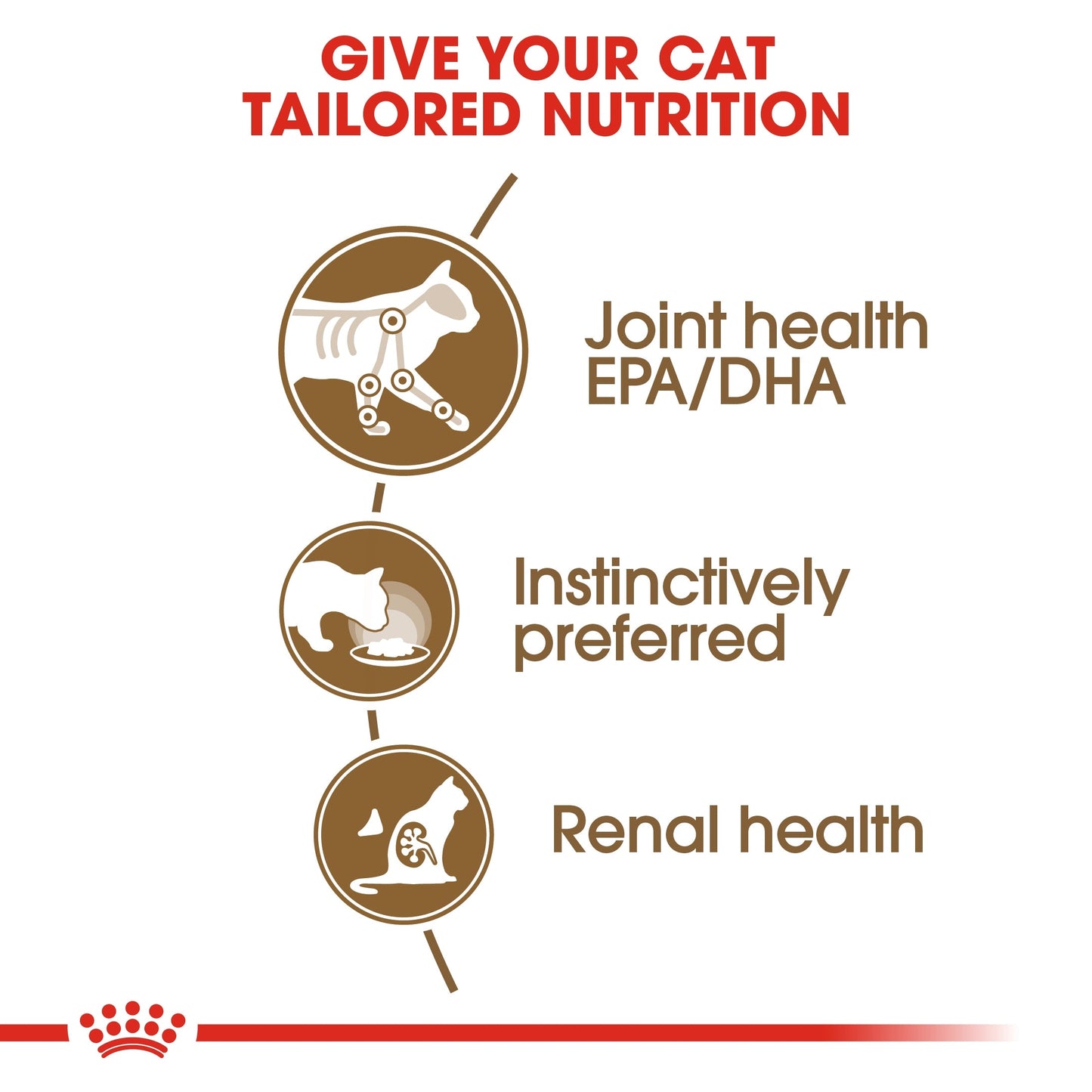 Royal Canin  Feline Health Nutrition Ageing  Jelly (Cat Wet Food - Pouches)