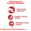 Royal Canin Feline Health Nutrition Instinctive Adult Cats Gravy (Cat Wet Food - Pouches)
