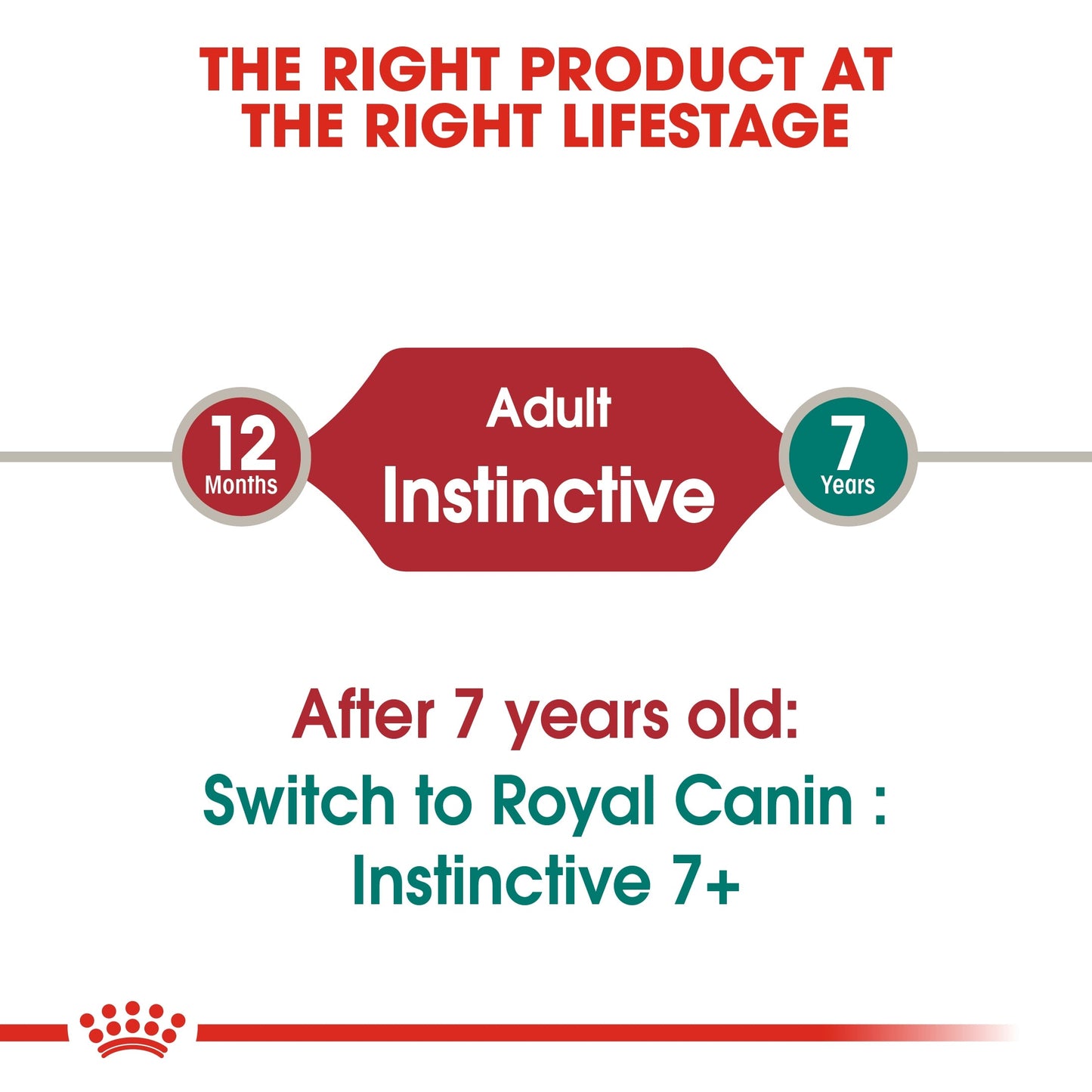 Royal Canin Feline Health Nutrition Instinctive Adult Cats Jelly (Cat Wet Food - Pouches)