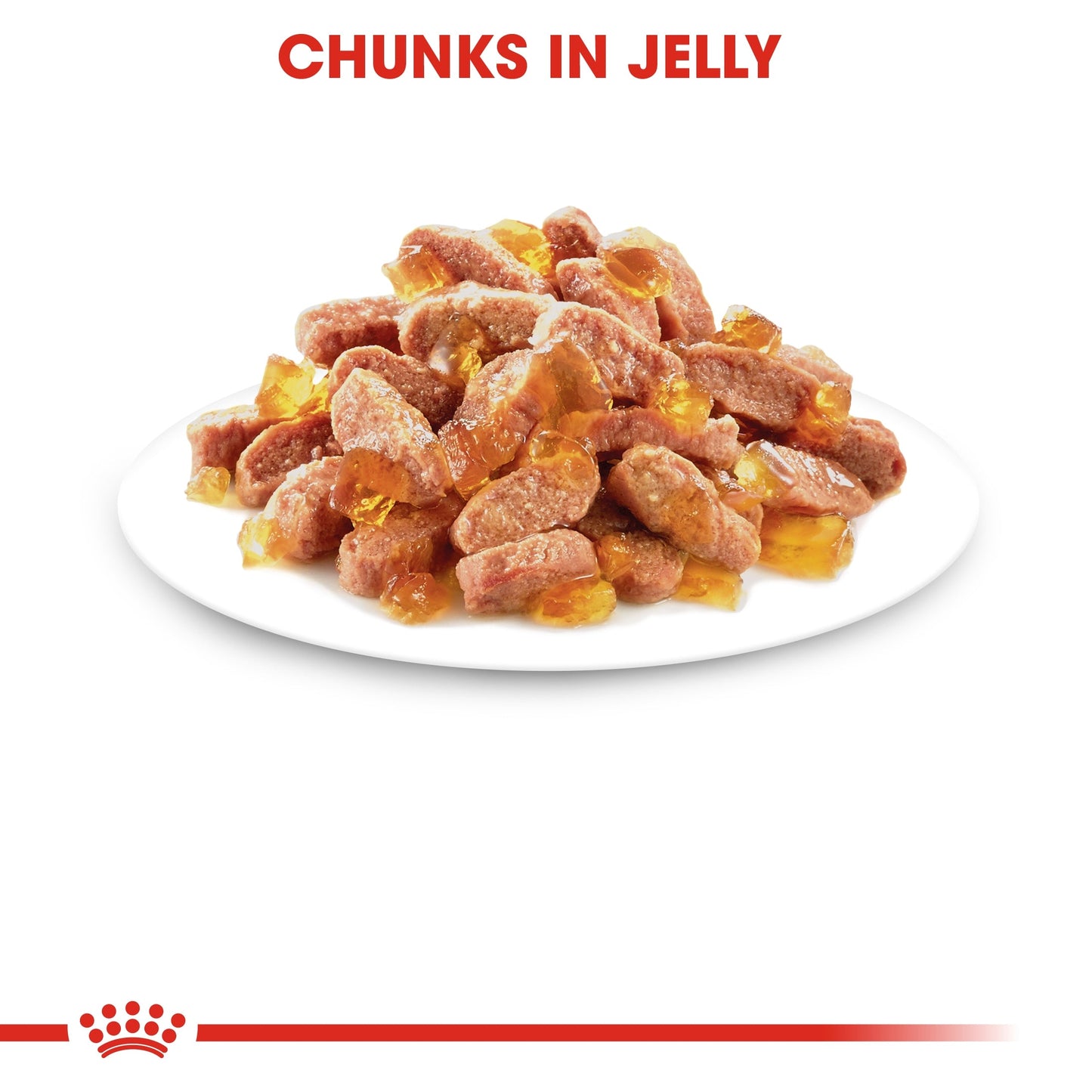 Royal Canin Feline Health Nutrition Kitten Jelly (Cat Wet Food - Pouches)