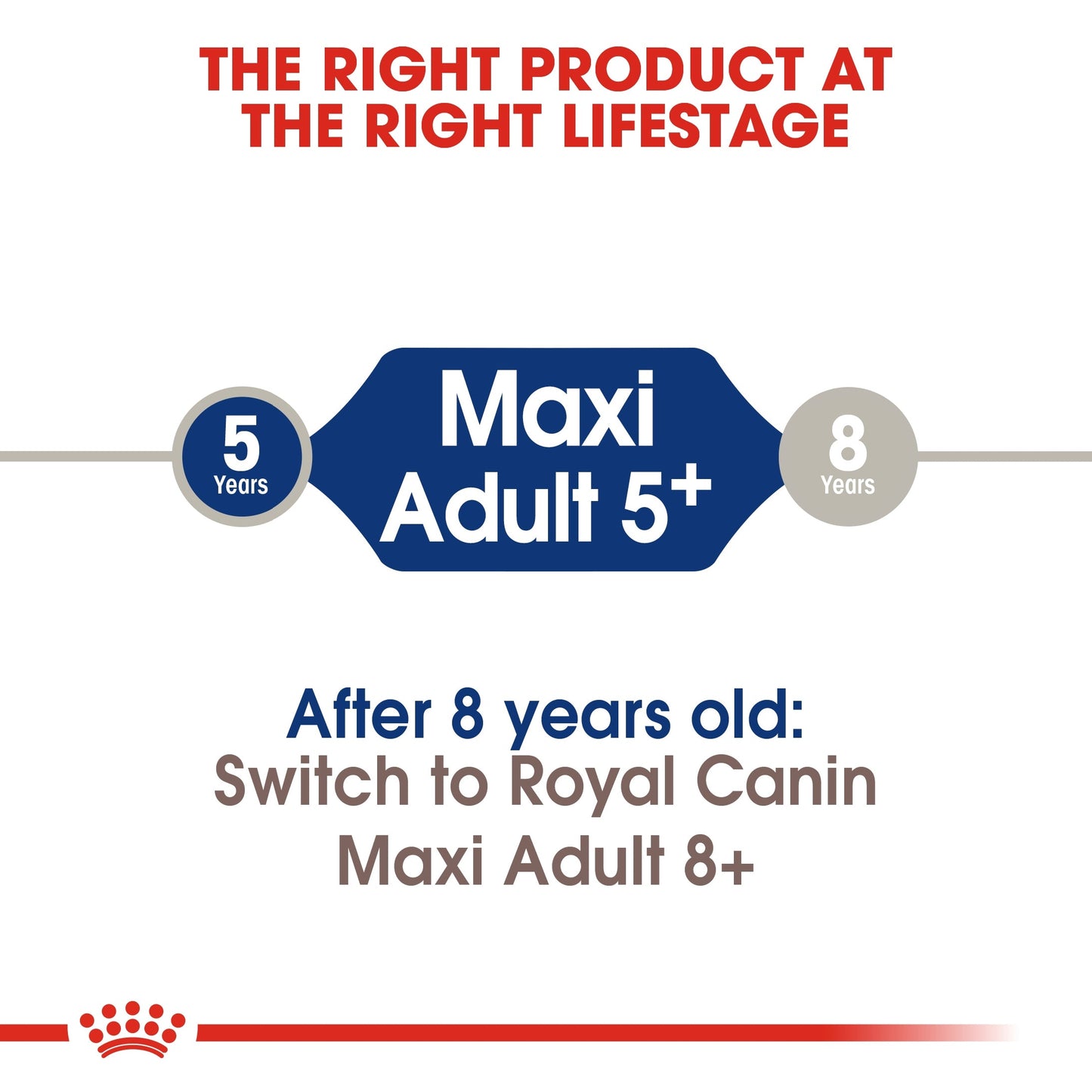 Royal Canin Size Health Nutrition Maxi Adult Dry Dog Food 5+ - 15 KG