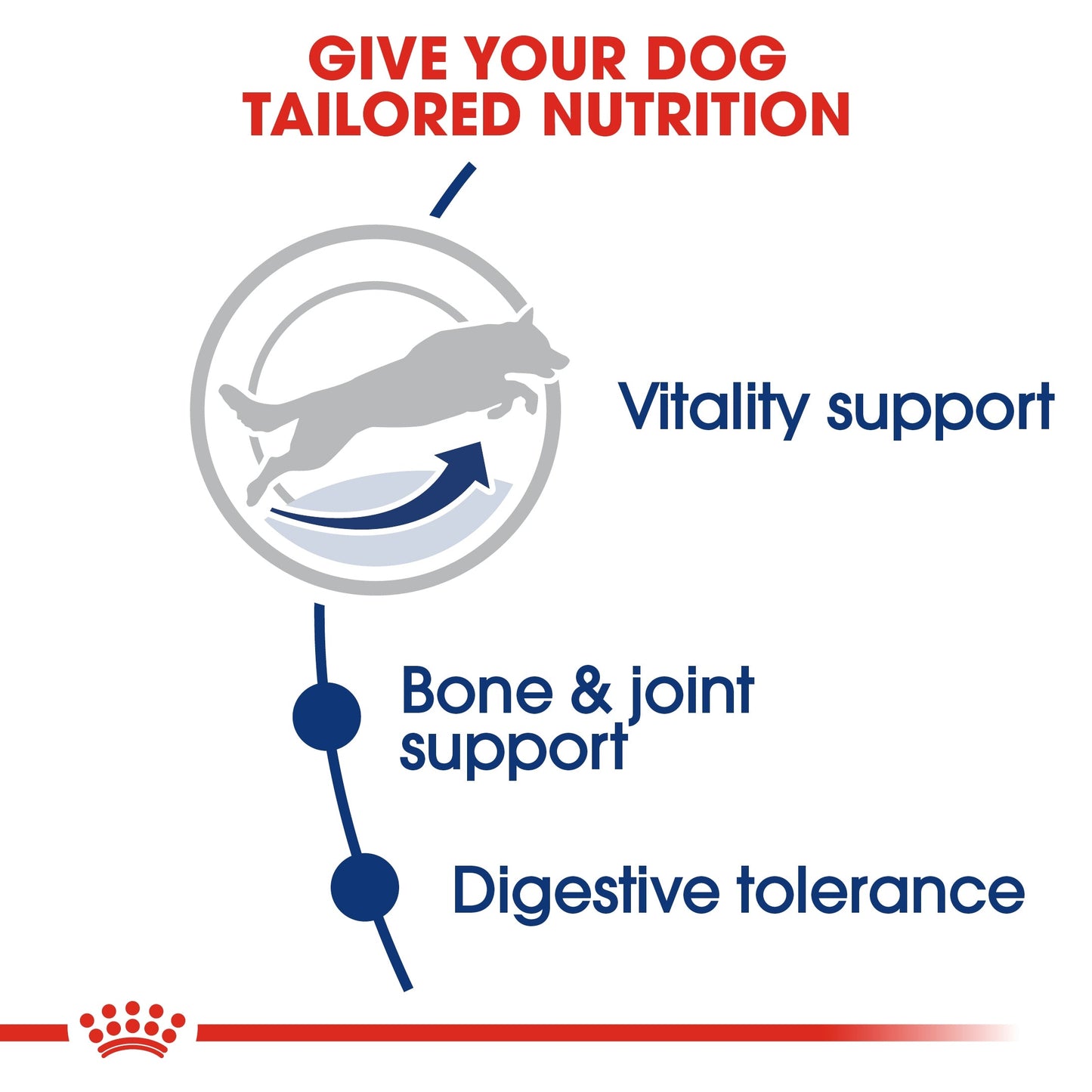 Royal Canin Size Health Nutrition Maxi Adult Dry Dog Food 5+ - 15 KG