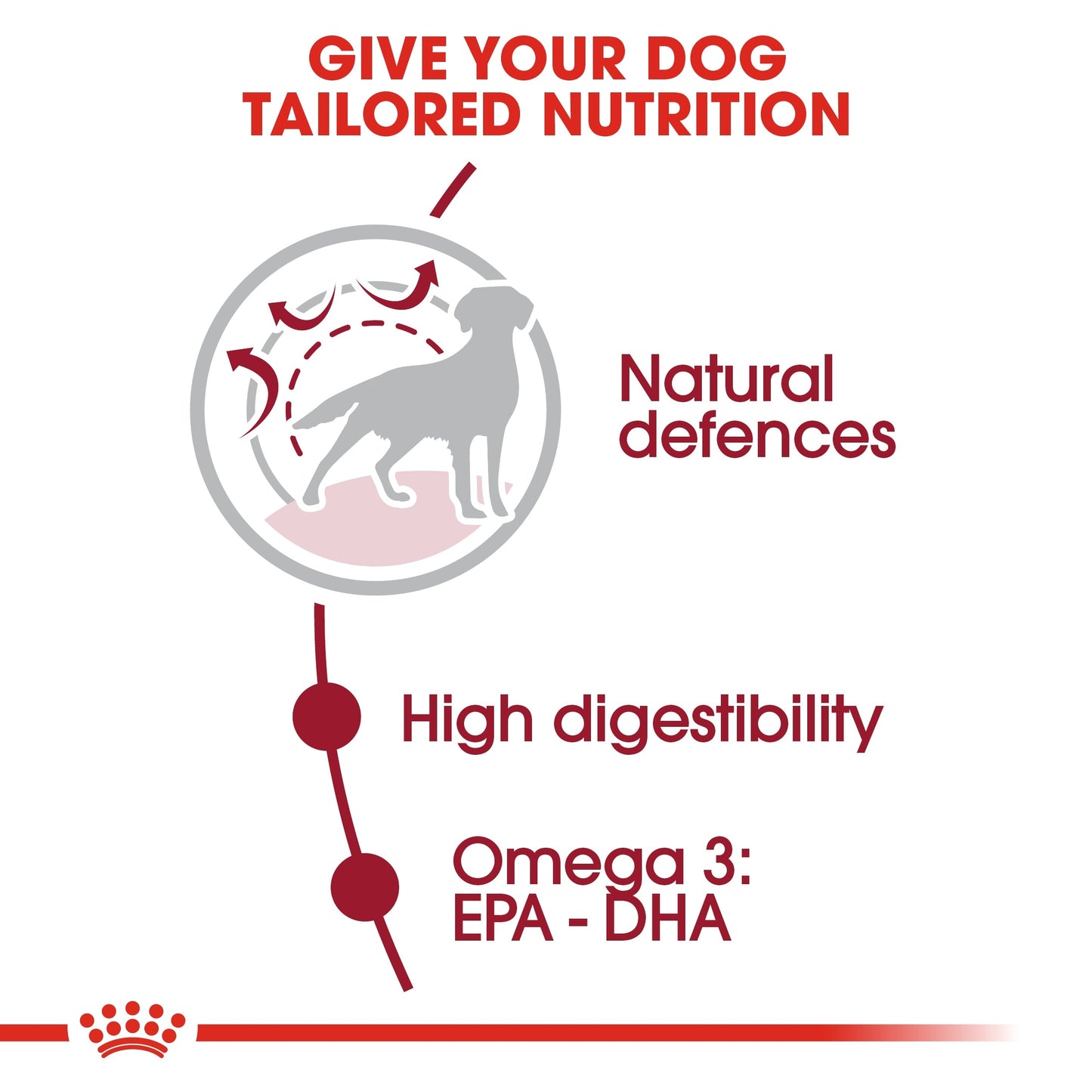 Royal Canin Size Health Nutrition Medium Adult Dry Dog Food