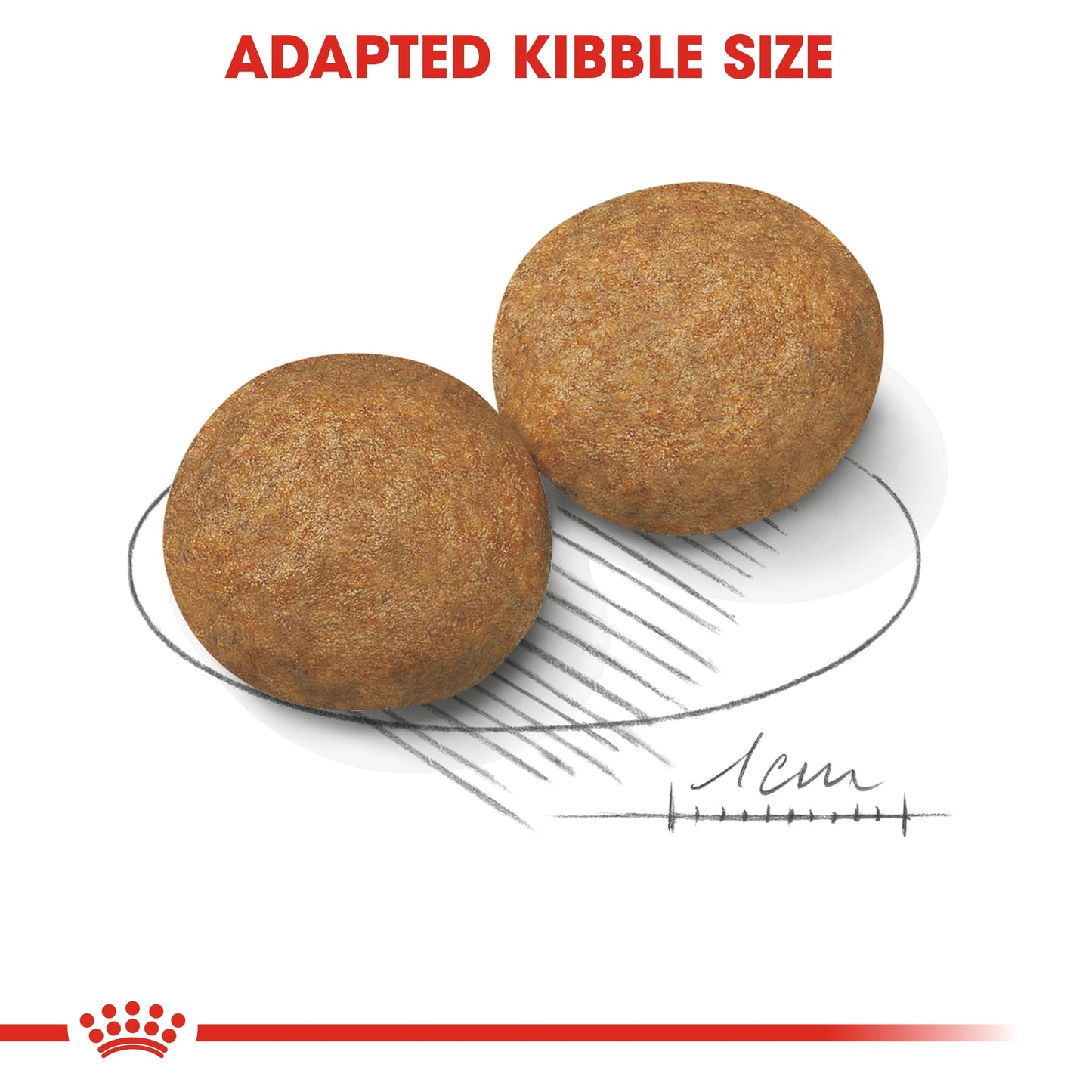 Royal Canin Size Health Nutrition Medium Adult Dry Dog Food