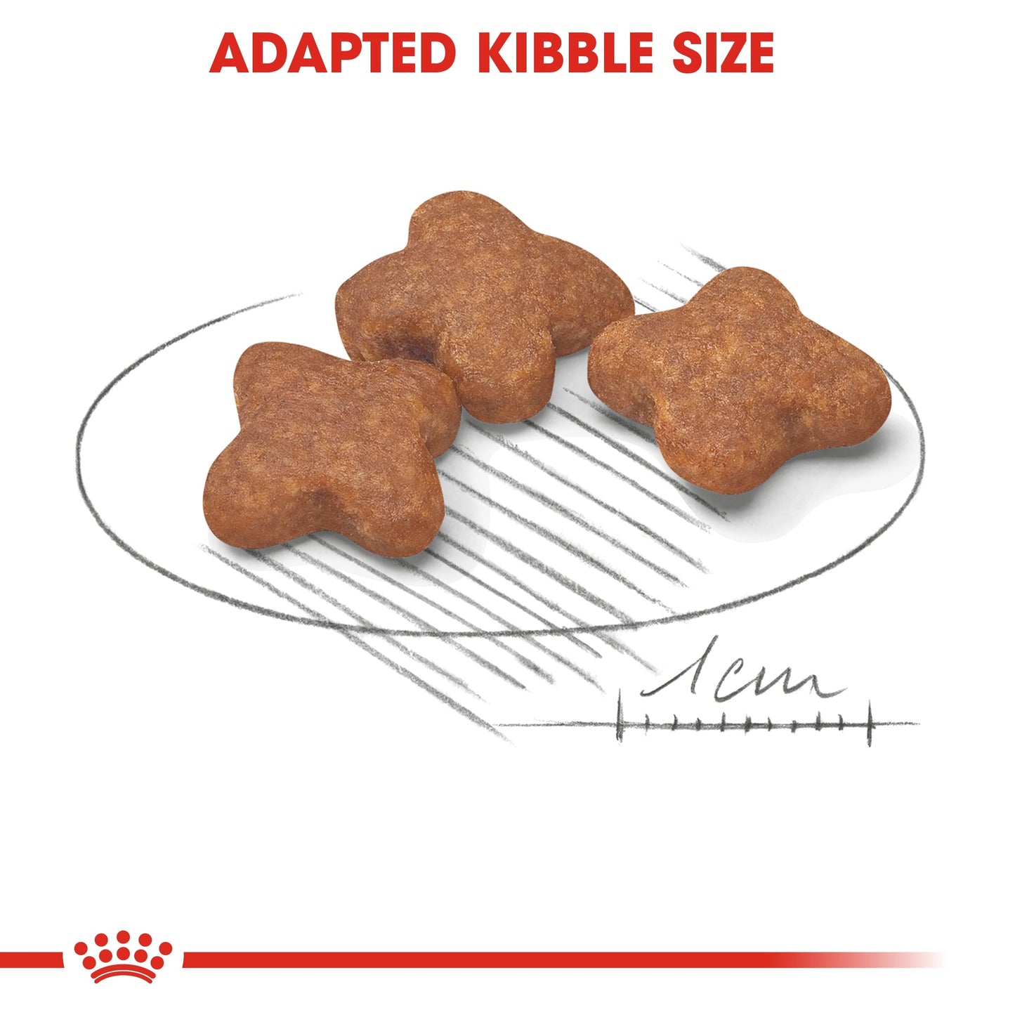 Royal Canin Size Health Nutrition Mini Adult 8+ 2 KG