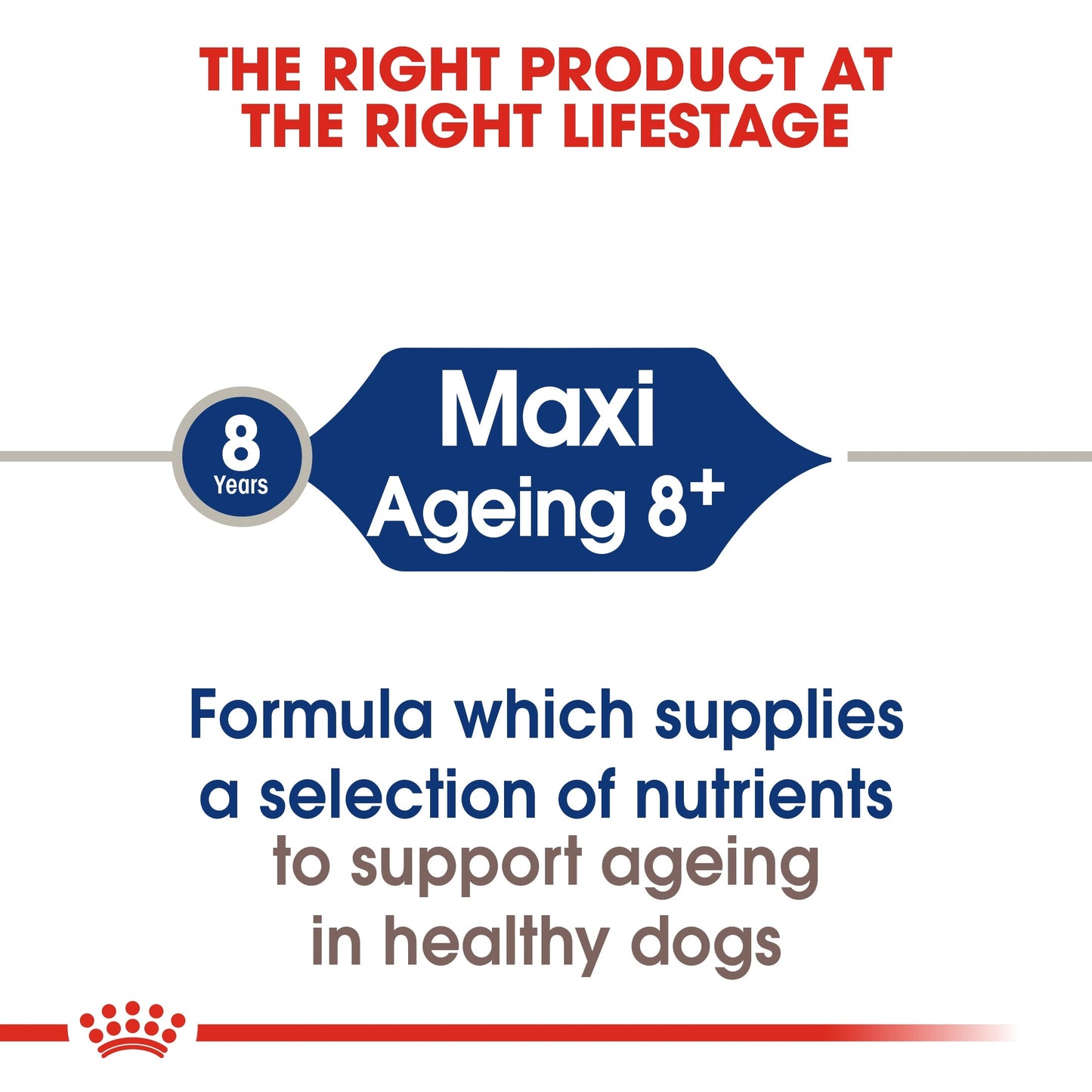 Royal Canin Size Health Nutrition Maxi Ageing Dry Dog Food 8+ 15 KG