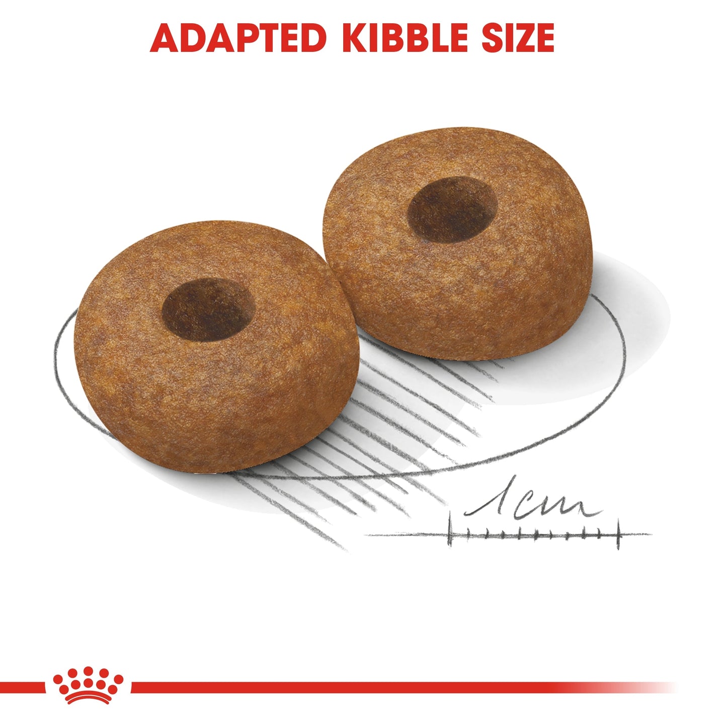 Royal Canin Size Health Nutrition Medium Ageing Dry Dog Food 10+ - 3kg