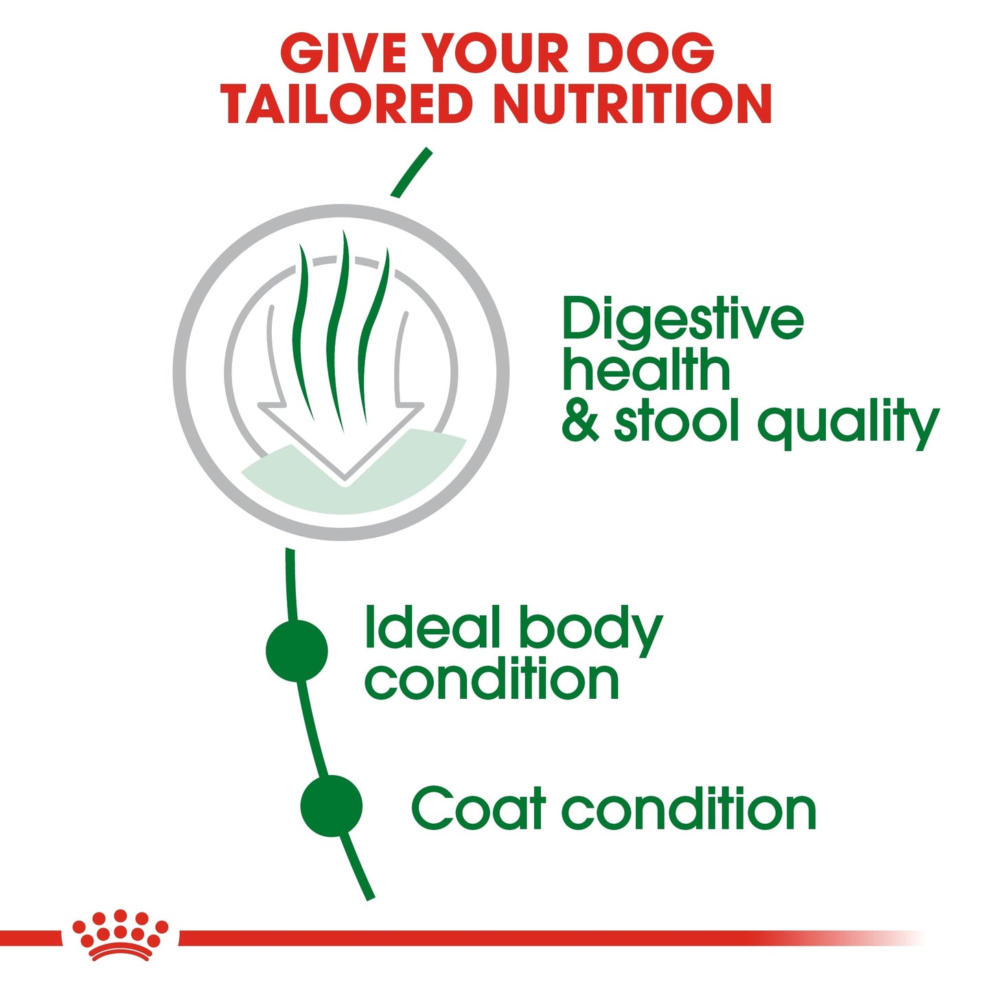 Royal Canin Adult Dog Food