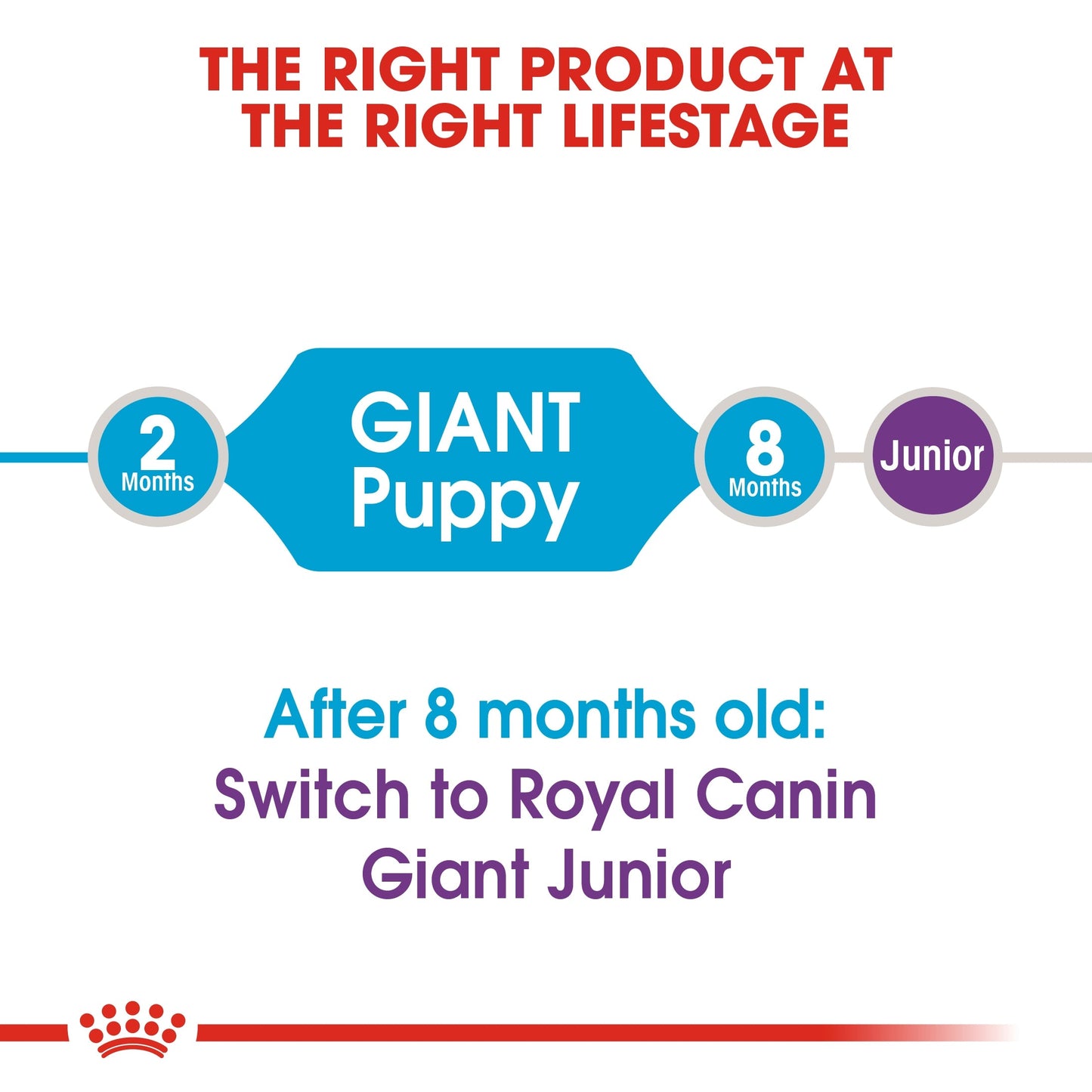 Royal Canin Size Health Nutrition Giant Puppy Dry Food 15 KG