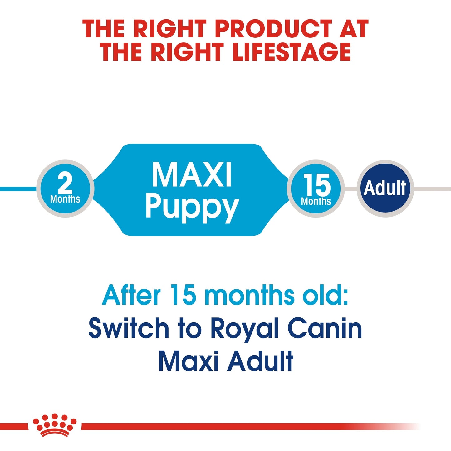 Royal Canin Size Health Nutrition Maxi Puppy Dry Dog Food