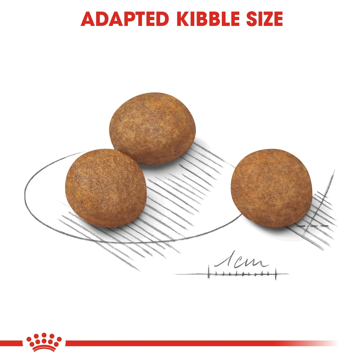 Royal Canin Size Health Nutrition Maxi Puppy Dry Dog Food