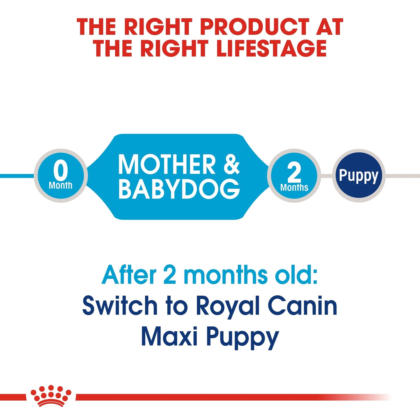 Royal Canin Size Health Nutrition Maxi Starter Dry Dog Food