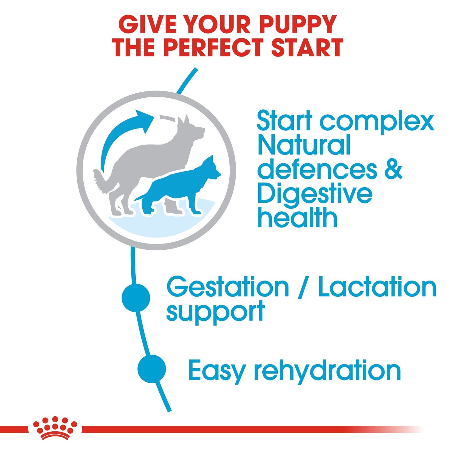 Royal Canin Size Health Nutrition Maxi Starter Dry Dog Food