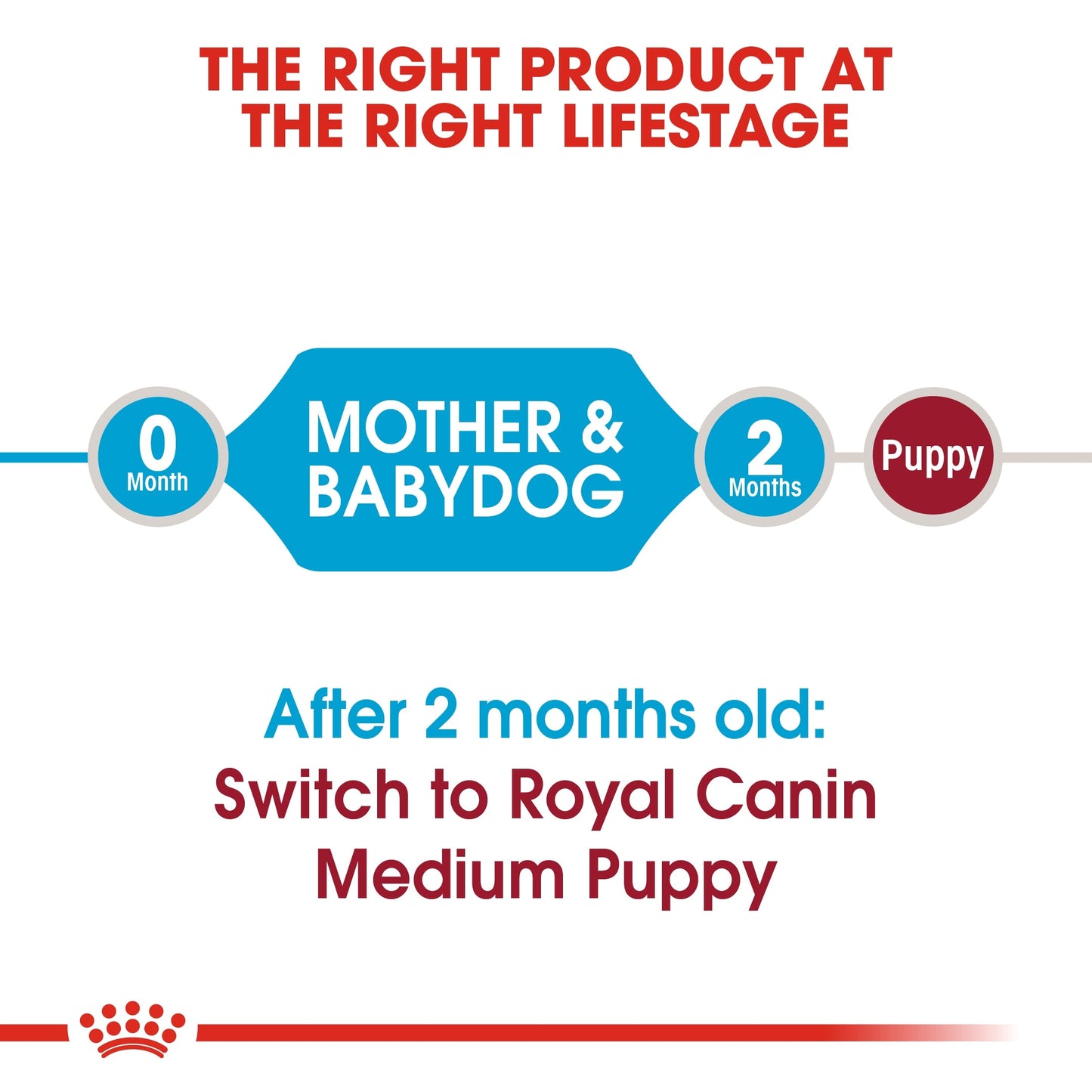 Royal Canin Size Health Nutrition Medium Starter Dry Dog Food 4 KG