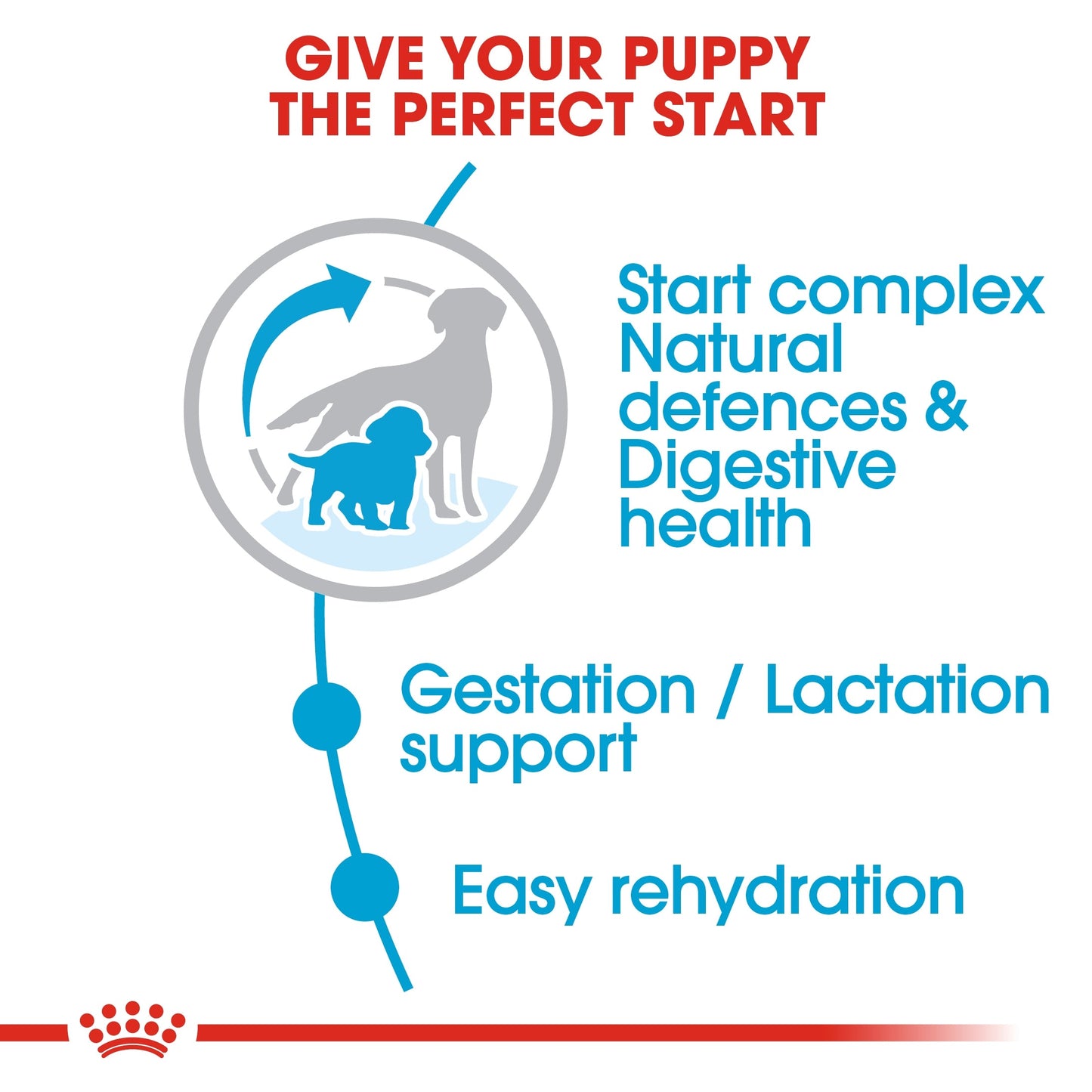 Royal Canin Size Health Nutrition Medium Starter Dry Dog Food 4 KG