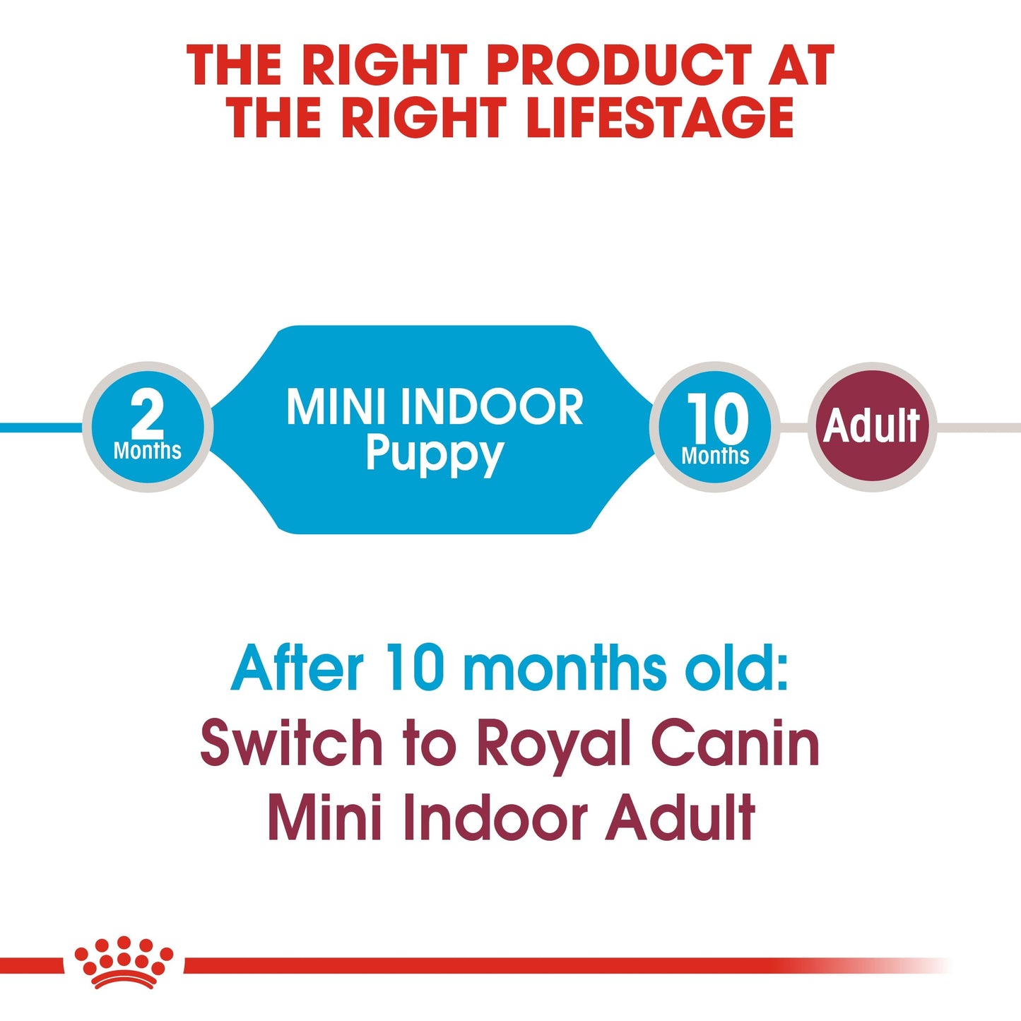 Royal Canin Size Health Nutrition Mini Indoor Puppy Dry Dog Food 1.5 KG