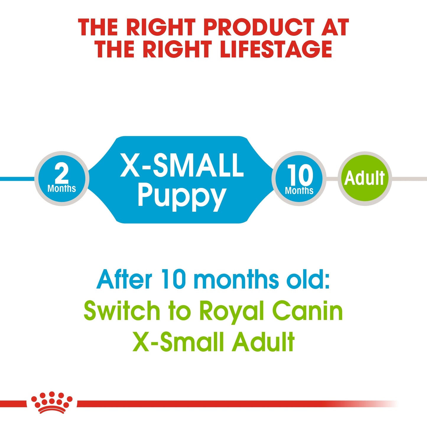 Royal Canin Size Health Nutrition XS Puppy Dry Food 1.5 KG