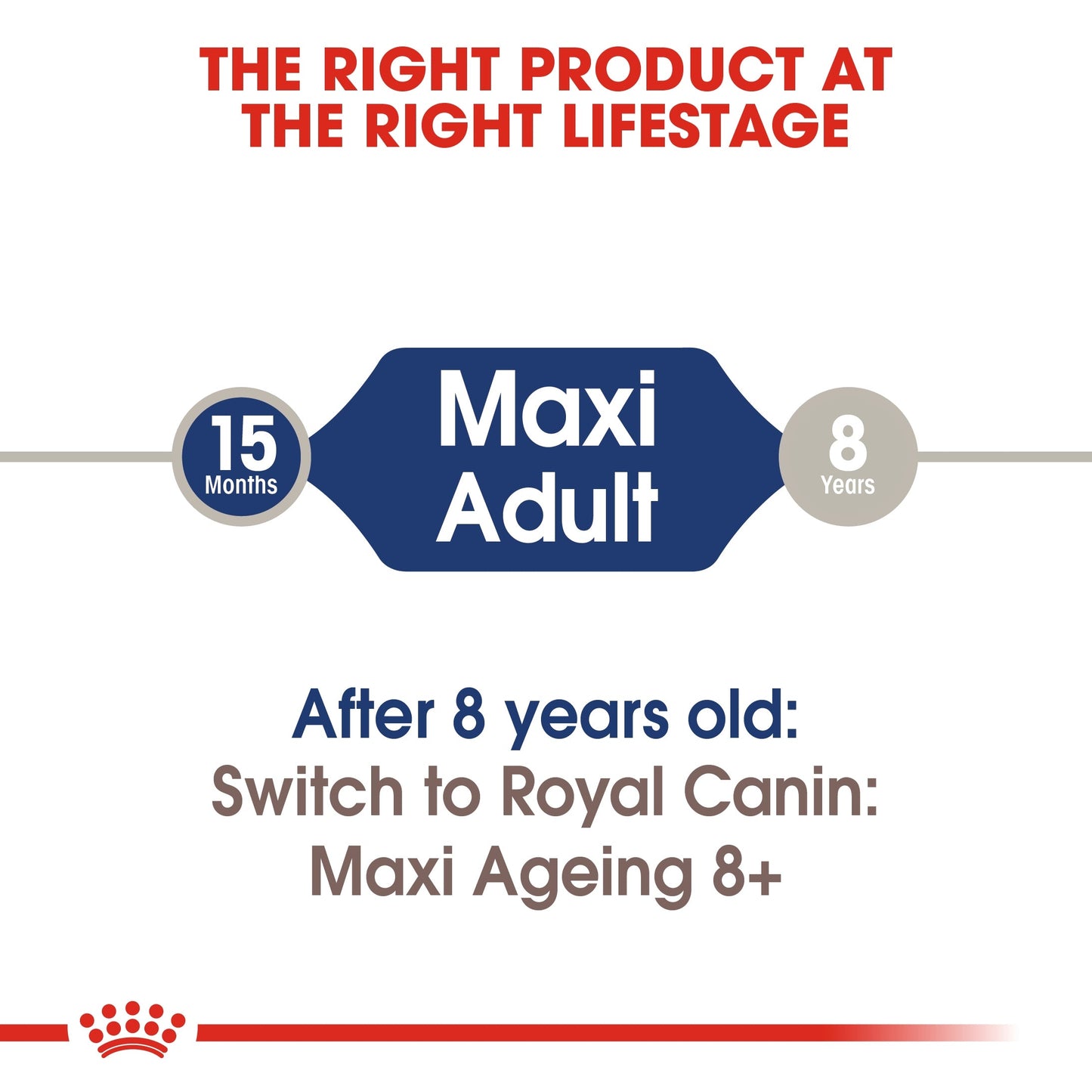 Royal Canin Size Health Nutrition Maxi Adult (Dog Wet Food - Pouches)