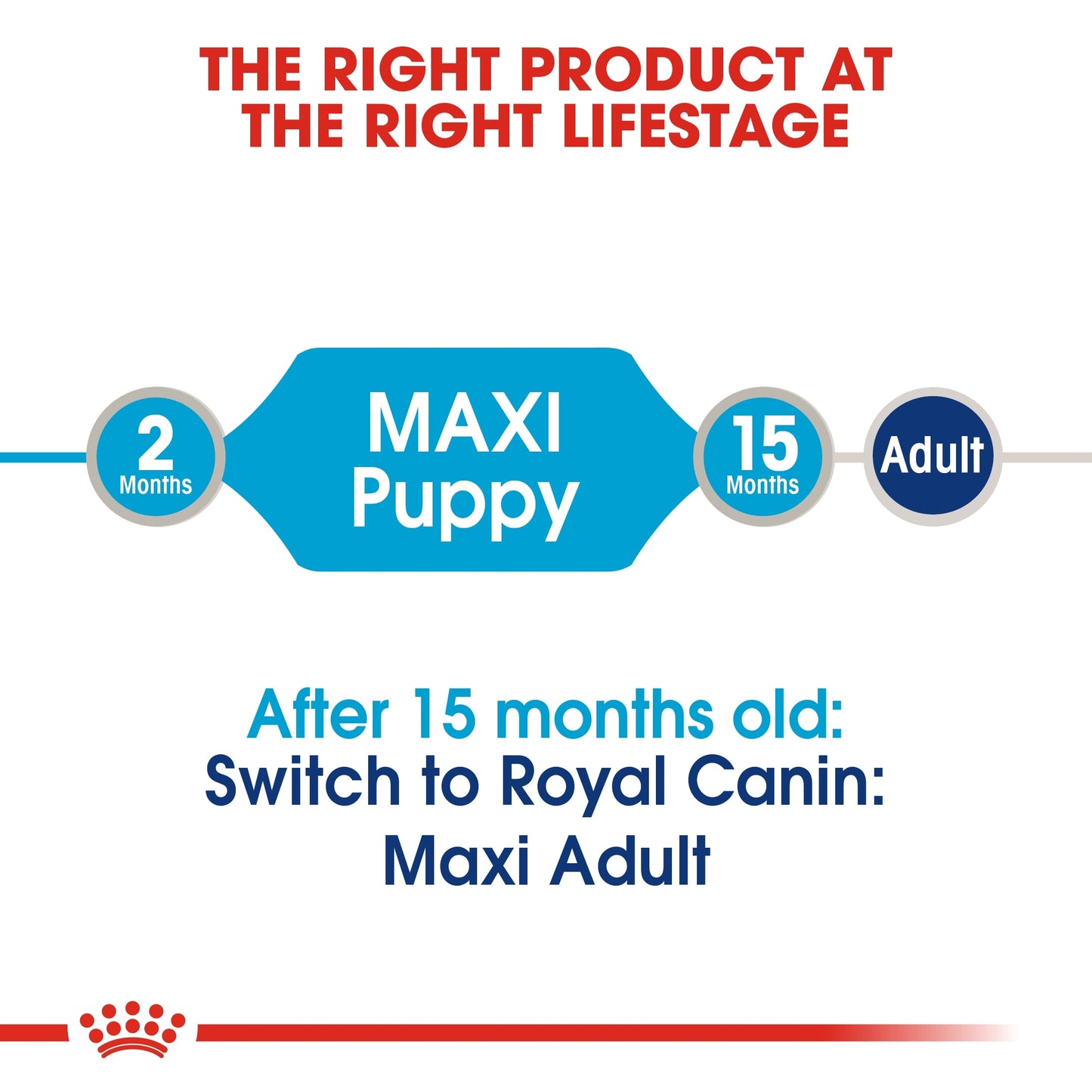 Royal Canin Size Health Nutrition Maxi Puppy (Dog Wet Food - Pouches)