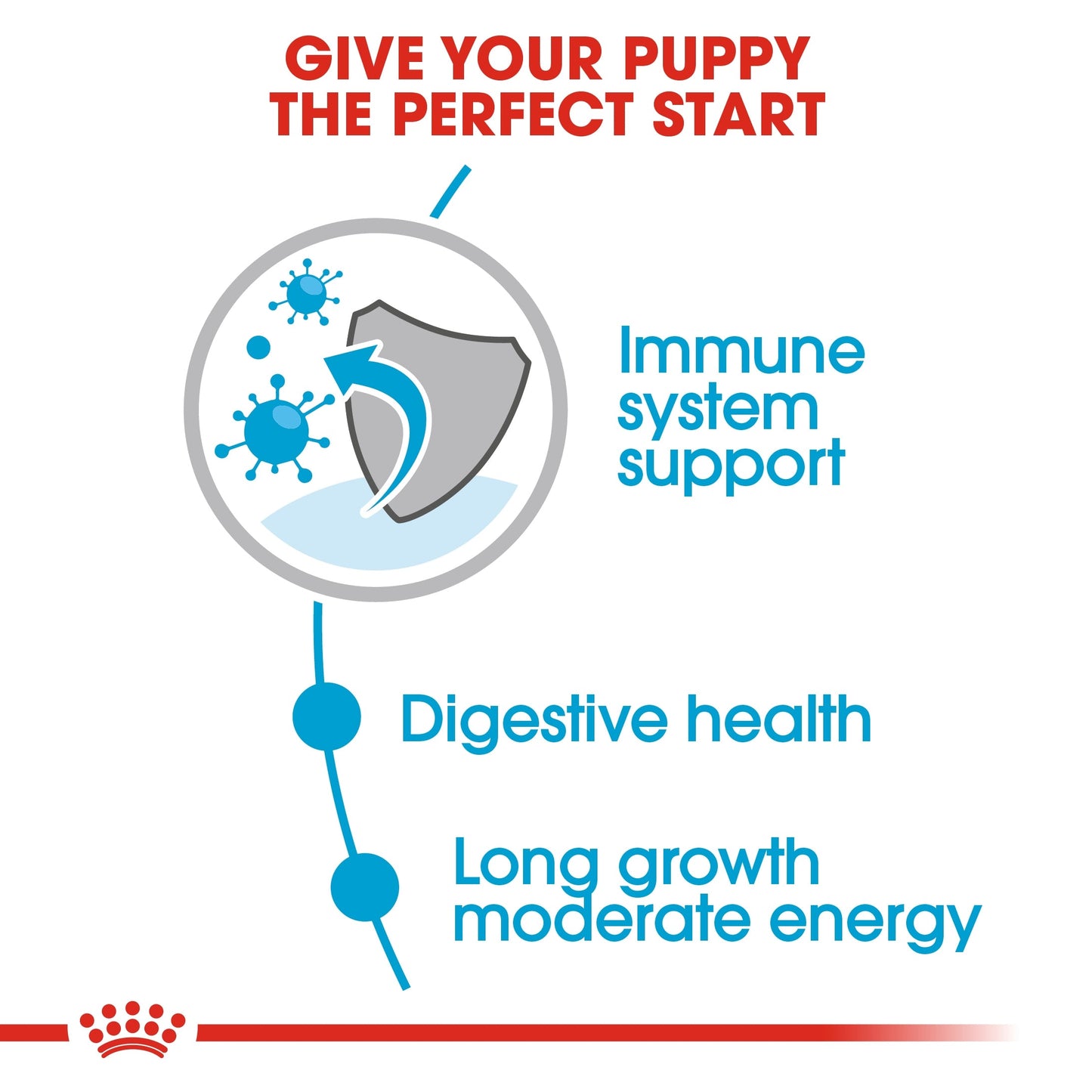 Royal Canin Size Health Nutrition Maxi Puppy (Dog Wet Food - Pouches)