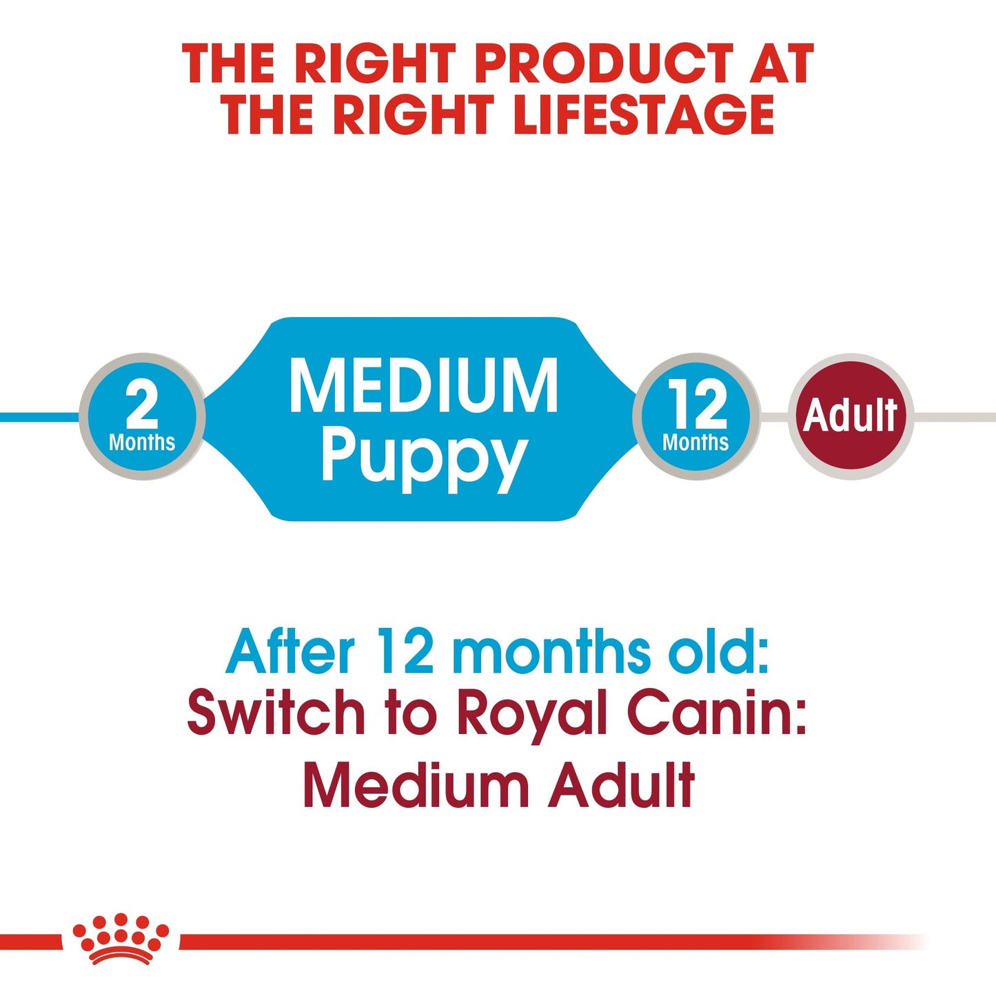 Royal Canin Size Health Nutrition Medium Puppy (Dog Wet Food - Pouches)