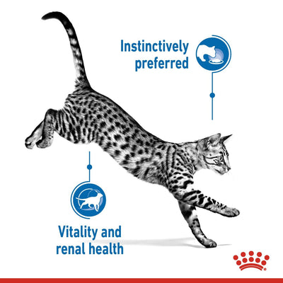 Royal Canin Feline Health Nutrition Indoor Gravy (Cat Wet Food - Pouches)