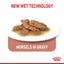 Royal Canin Feline Health Nutrition Indoor Gravy (Cat Wet Food - Pouches)