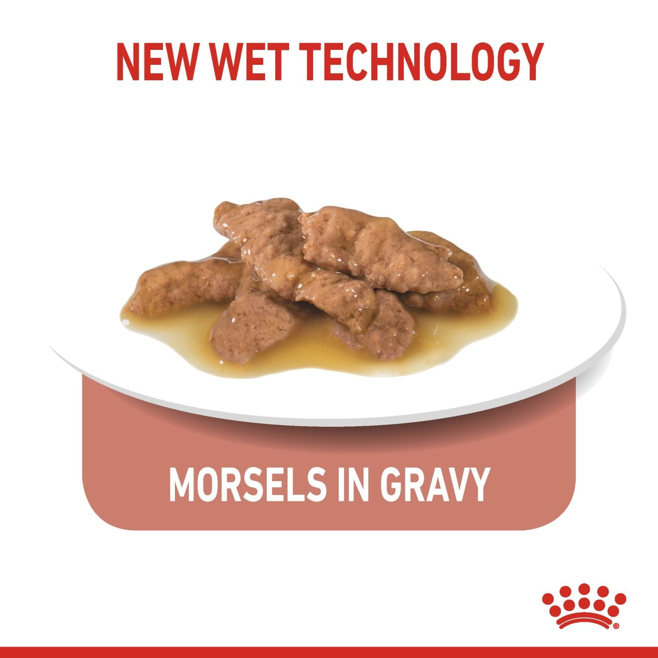 Royal Canin Feline Health Nutrition Indoor Gravy (Cat Wet Food - Pouches)
