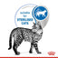 Royal Canin  Feline Health Nutrition Indoor Jelly (Cat Wet Food - Pouches)