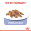Royal Canin  Feline Health Nutrition Indoor Jelly (Cat Wet Food - Pouches)