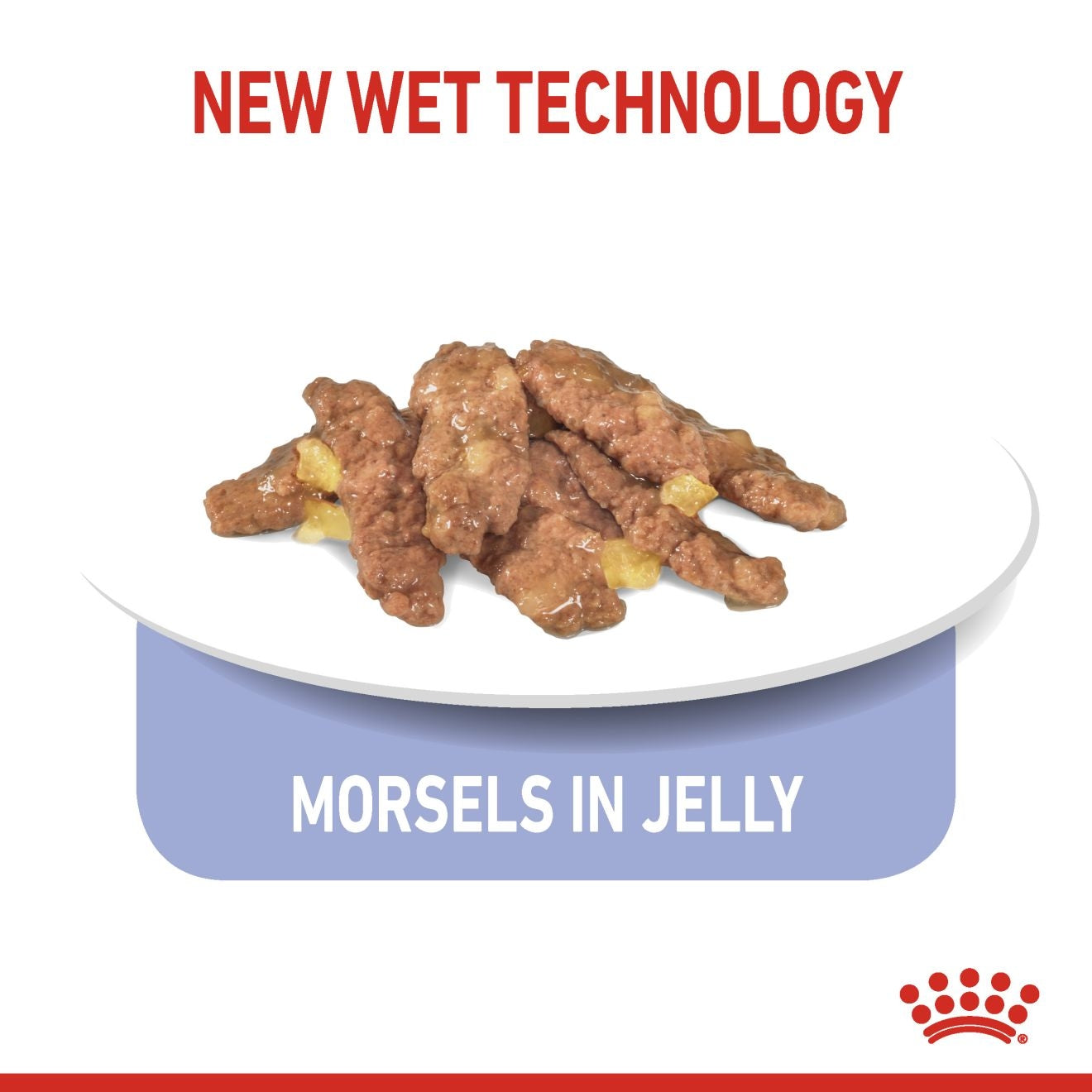 Royal Canin  Feline Health Nutrition Indoor Jelly (Cat Wet Food - Pouches)
