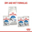 Royal Canin  Feline Health Nutrition Indoor Jelly (Cat Wet Food - Pouches)