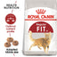 Royal Canin Feline Health Nutrition Fit 32 Cat Dry Food
