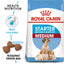 Royal Canin Adult Dog Food