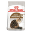Royal Canin Ageing 12+ Cat Dry Food 2kg bag available at PetCentral Qatar