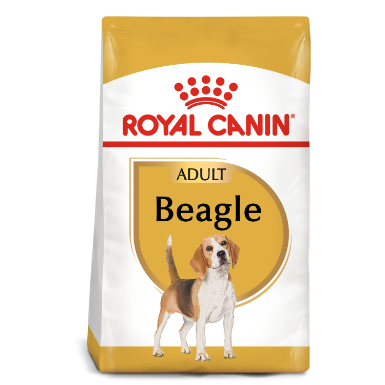 Royal Canin Beagle Adult Dog Dry Food 3kg available at PetCentral Qatar
