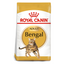 Royal Canin Bengal Adult Cat Food 2 KG Qatar Buy PetCentral