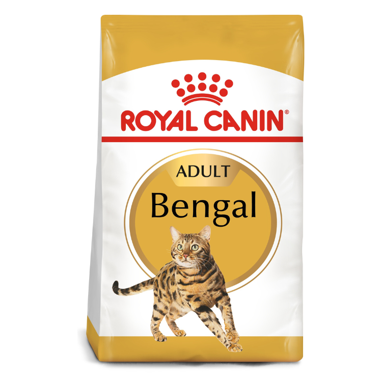 Royal Canin Bengal Adult Cat Food 2 KG Qatar Buy PetCentral