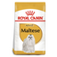 Royal Canin Breed Health Nutrition Maltese Adult Dog Food 1.5 KG Dubai Qatar Buy