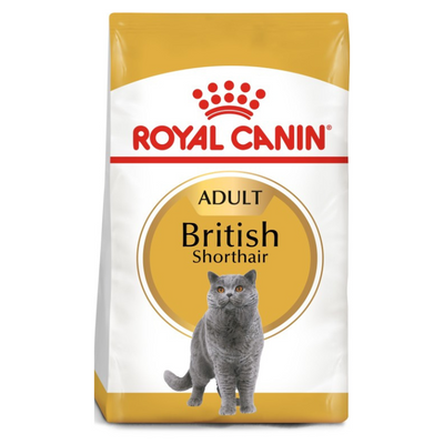 Royal Canin British Shorthair Adult Cat Food Qatar Buy PetCentral