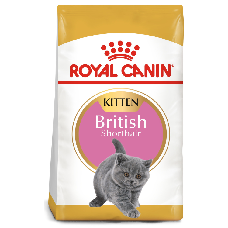 Royal Canin British Shorthair Kitten Dry Food 2kg available at PetCentral Qatar