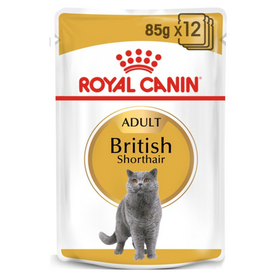 Royal Canin British Shorthair Wet Food 12x85g Qatar Buy PetCentral